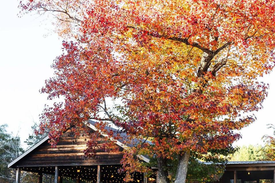 Fall waterfront wedding