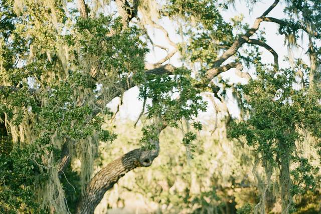 Kristen Beinke Photography
