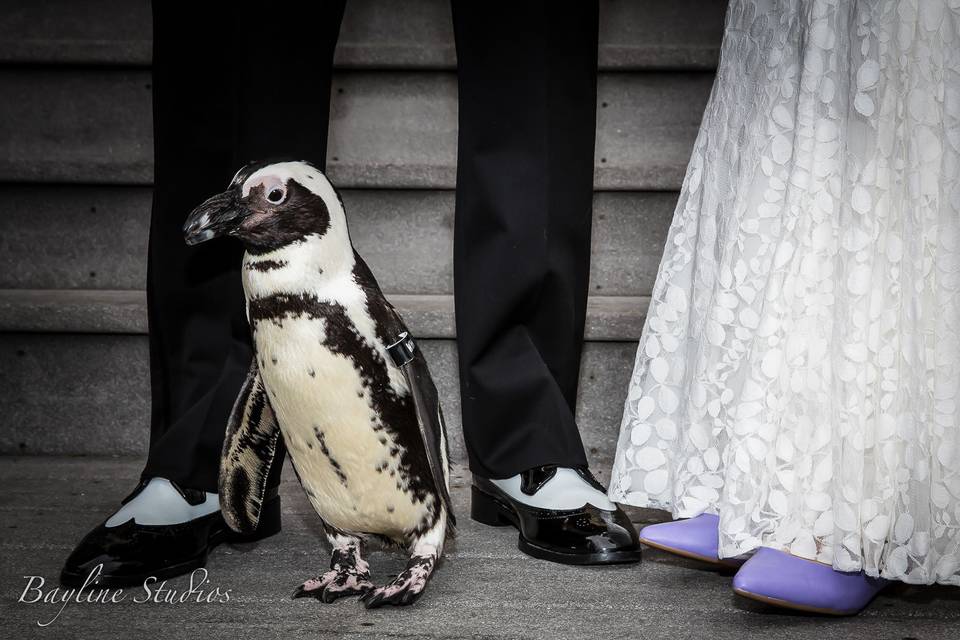 Bride, Groom, and Friend