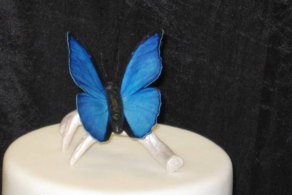 Edible blue butterfly