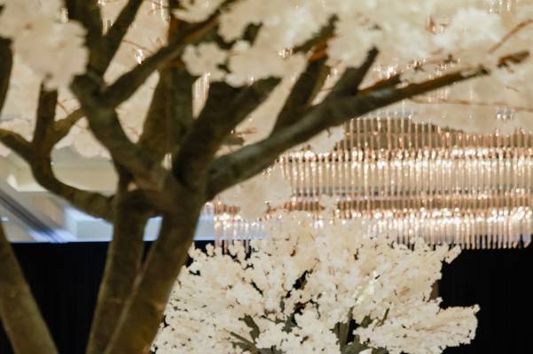 Ballroom wedding reception