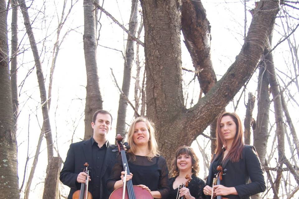 String Quartet of Northern Virginia