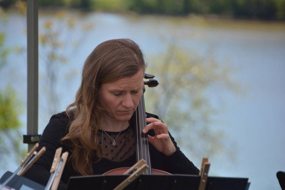 String Quartet of Northern Virginia