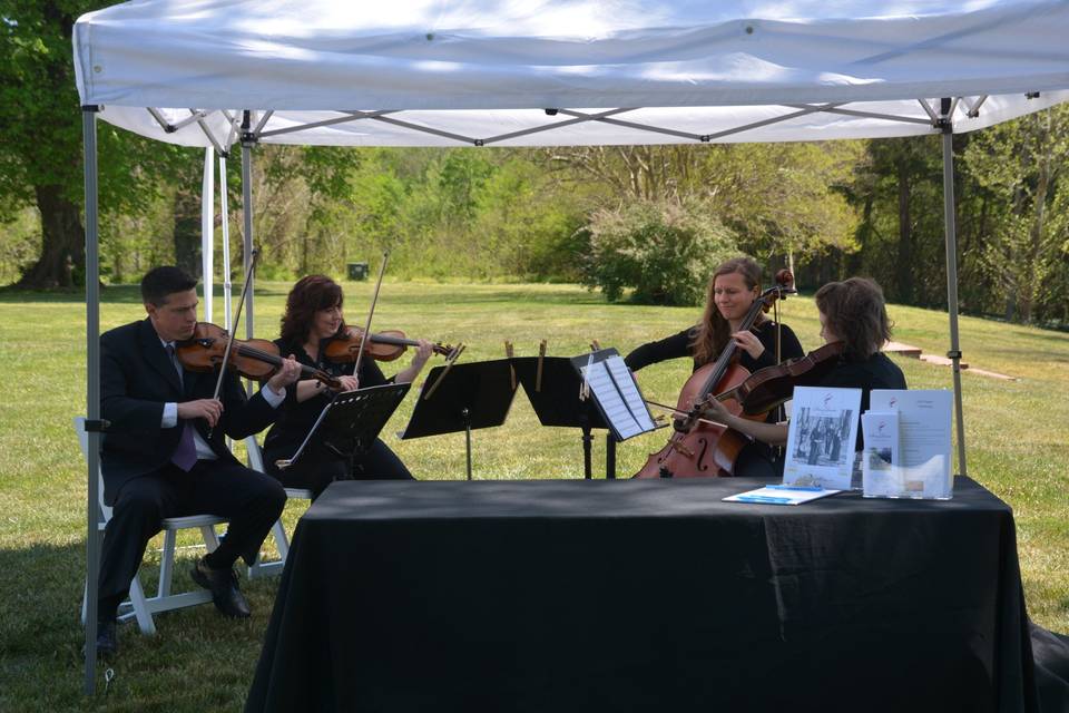 String Quartet of Northern Virginia