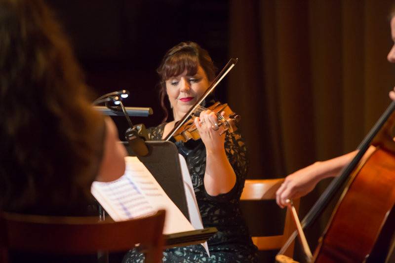 Violin and cello