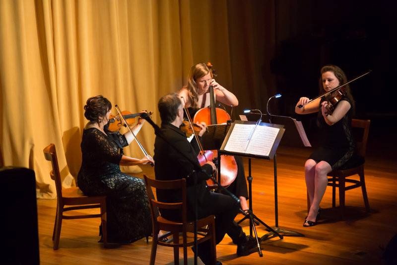 String Quartet of Northern Virginia