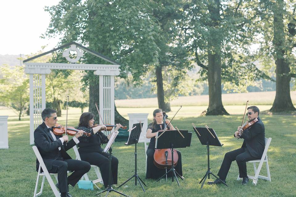 String Quartet of Northern Virginia