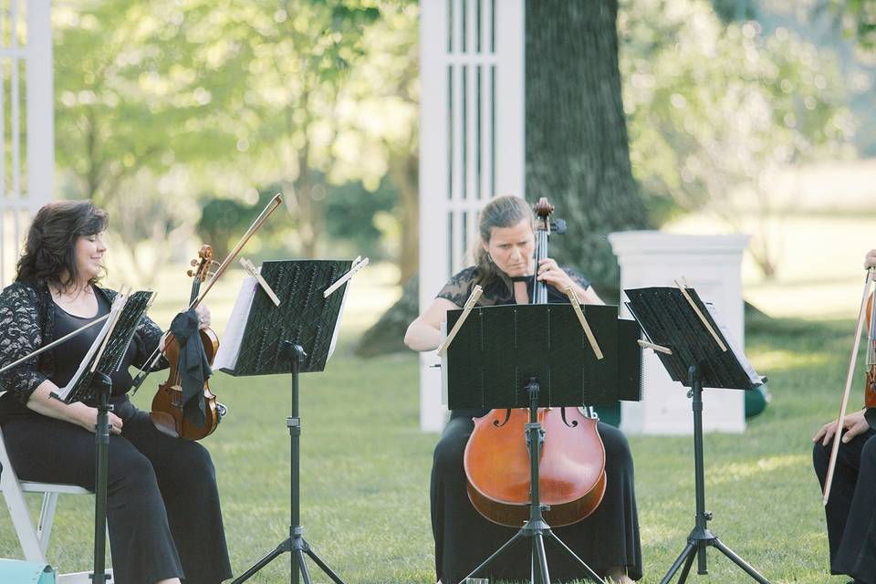 String Quartet of Northern Virginia