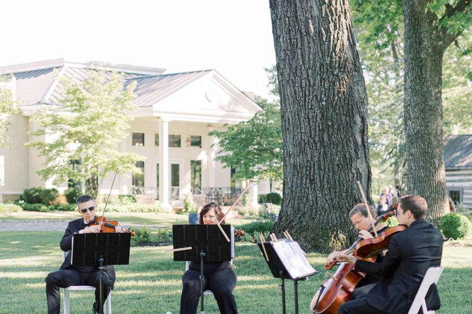 String Quartet of Northern Virginia