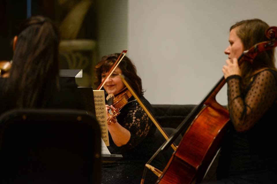 String Quartet of Northern Virginia