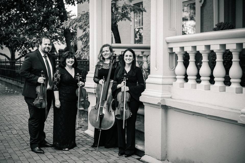 String quartet portrait