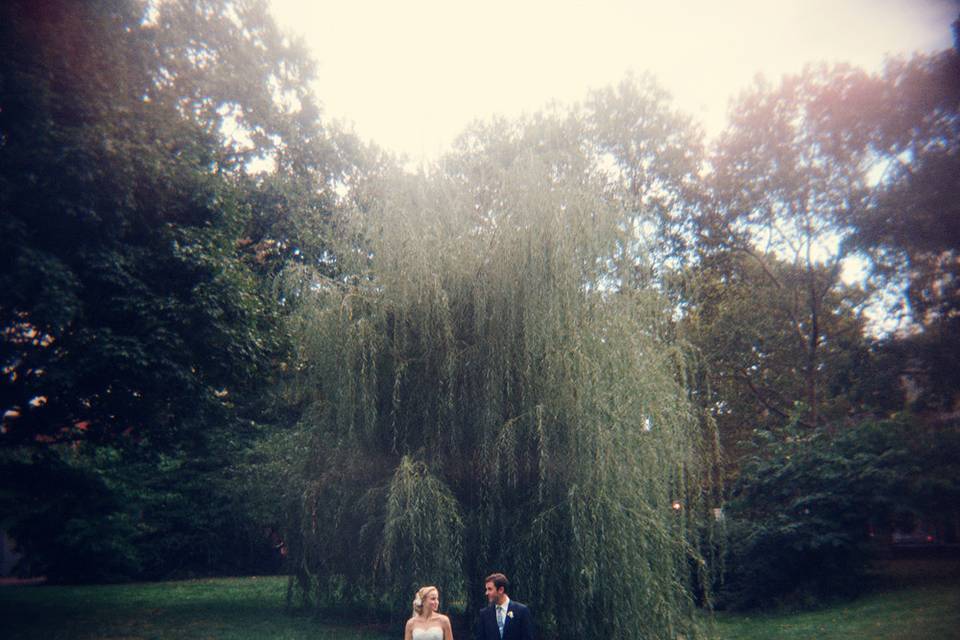 Couple portrait in front of willow tree