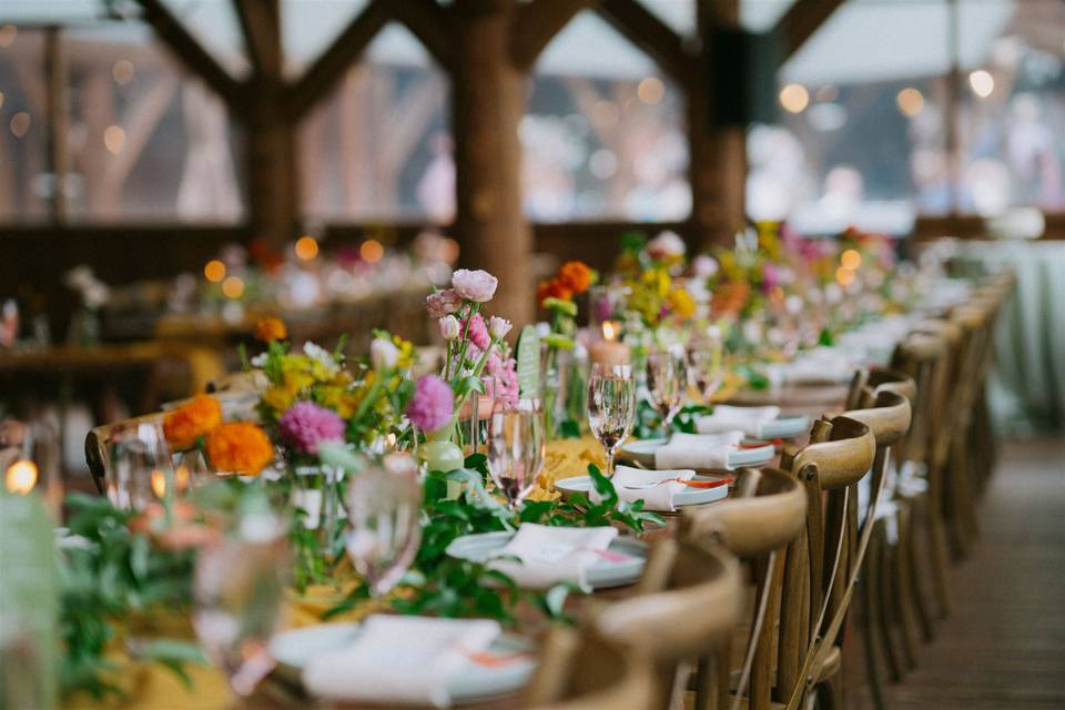 Whitney Rae Photography