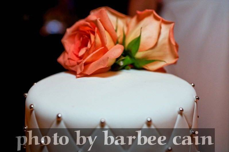 Barbee Cain Destination Weddings and Photography