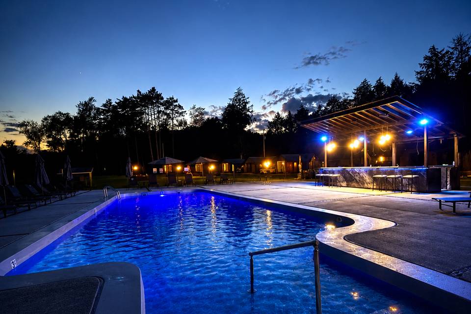 Pool with Outdoor Bar