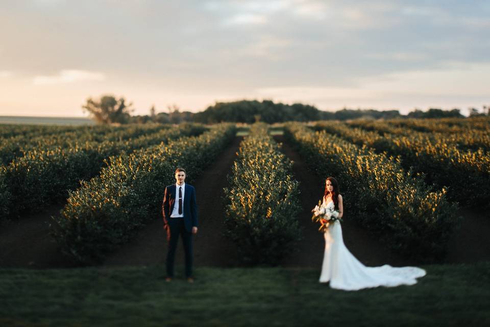 weddings — Michael Sladek Photography