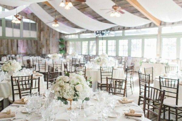 Fruitwood chiavari chairs