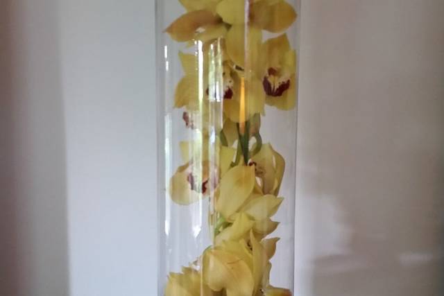 Elegant Designs In Bloom