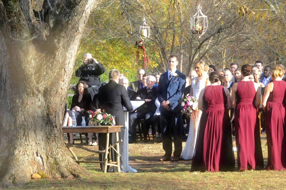 Bride, Groom, dog in Savannah