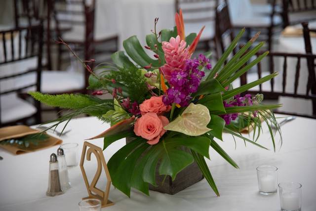 Enchanted Weddings and Events