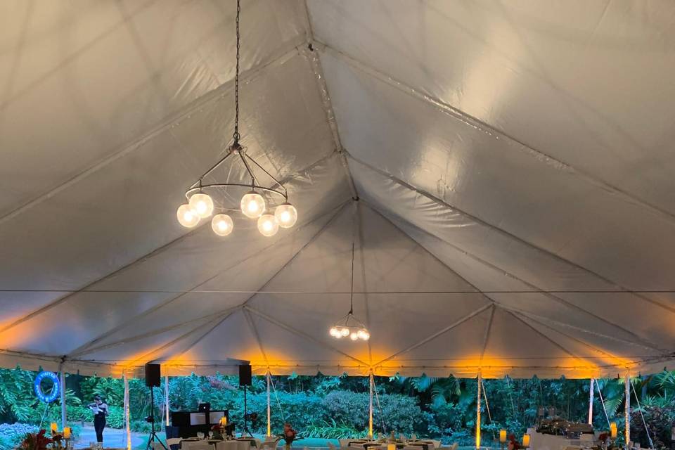 Sunken Gardens Tent Reception