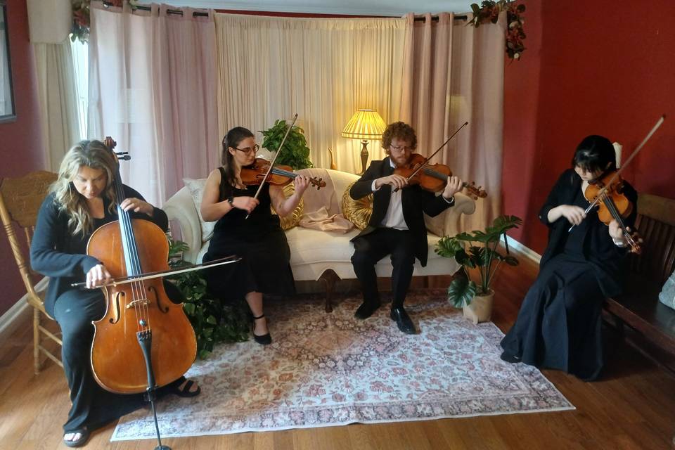 Custom string ensembles