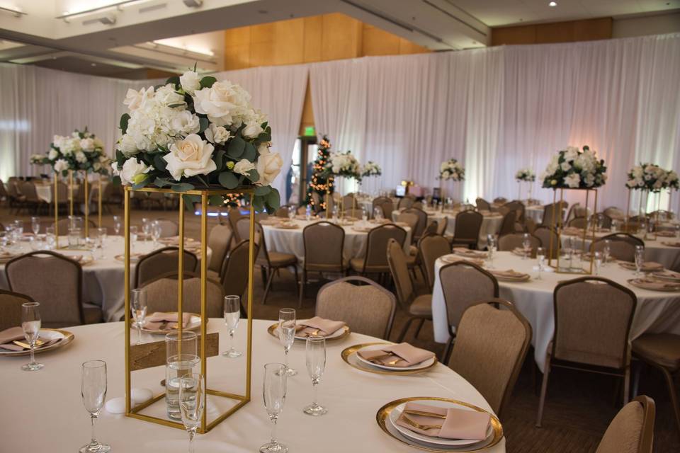 N&S reception