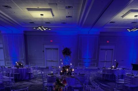 Wedding 2025