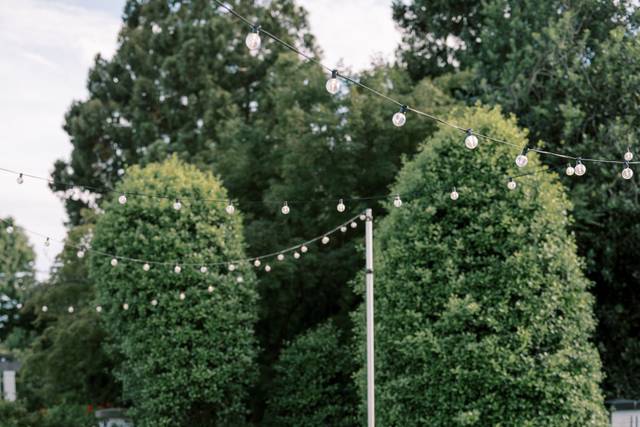 Previews-Wedding-VickiGraftonPhotography-124.jpg