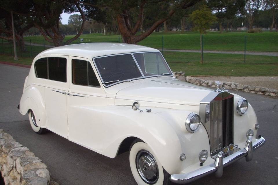 2014 New addition to our fleet, our 1963 beautiful white Princess Rolls Royce Limo.