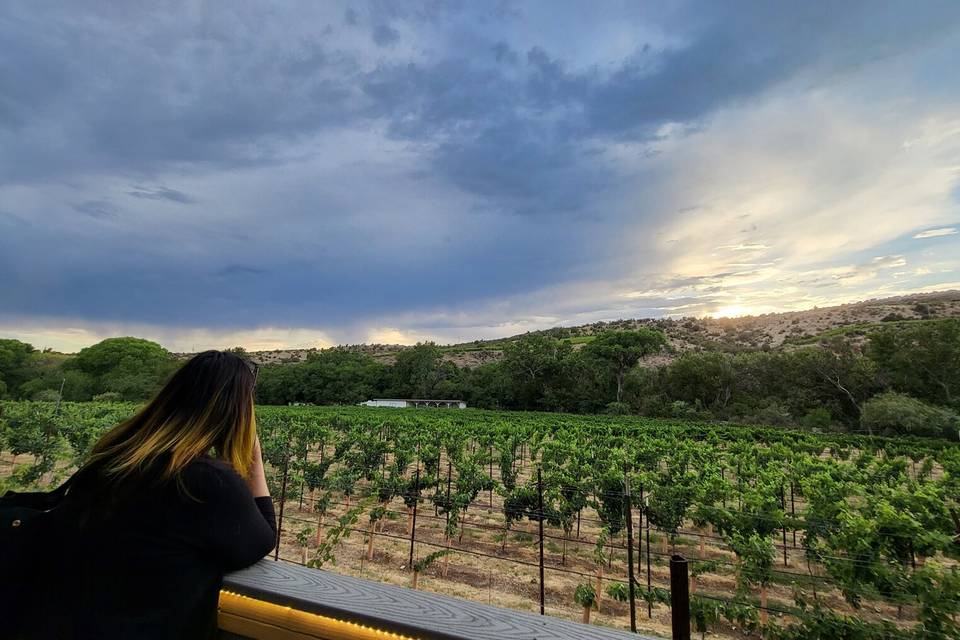 Elevated Sedona Wine Tours