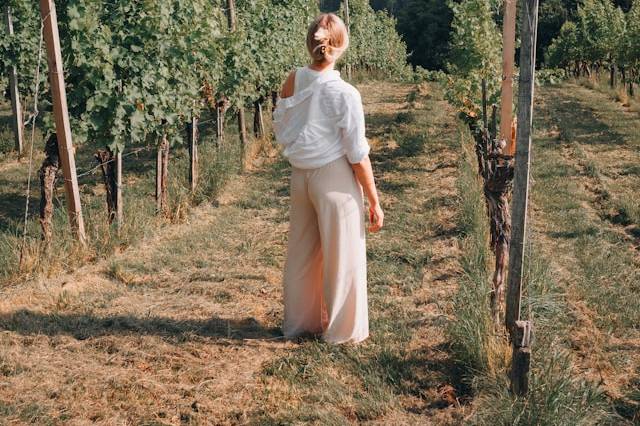 Elevated Sedona Wine Tours