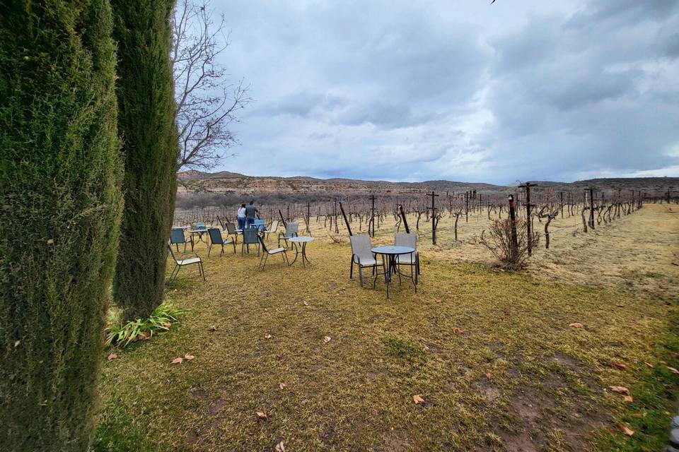 Elevated Sedona Wine Tours