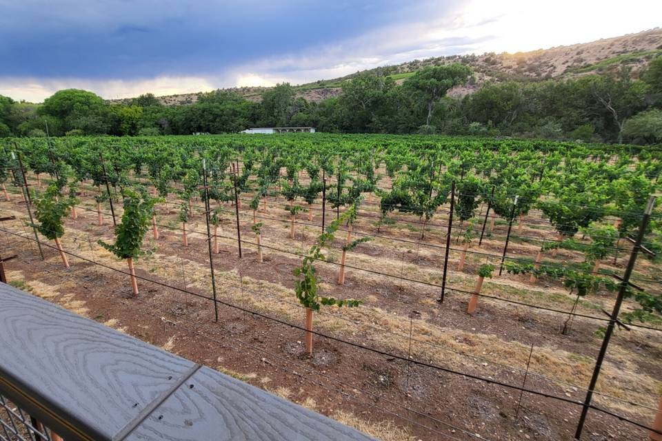 Elevated Sedona Wine Tours