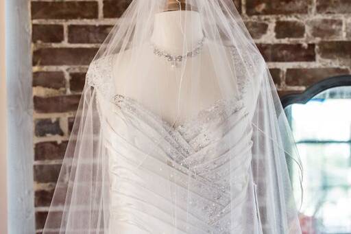 Bridal dress and veil