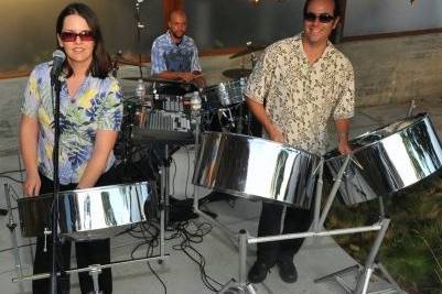 NESTA steel drum band