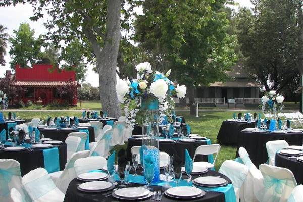 Beauty is the key when you have your reception at one of our many outdoor locations. Image of Bandstand Green reception.