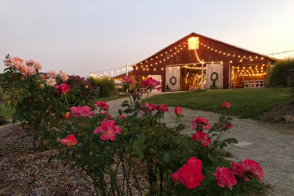 Dodson Orchards