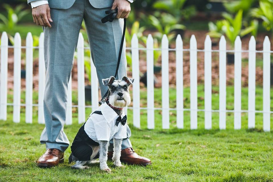 Groom's best friend