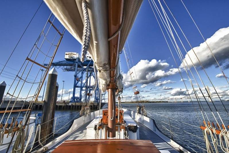 Charleston Harbor Tours