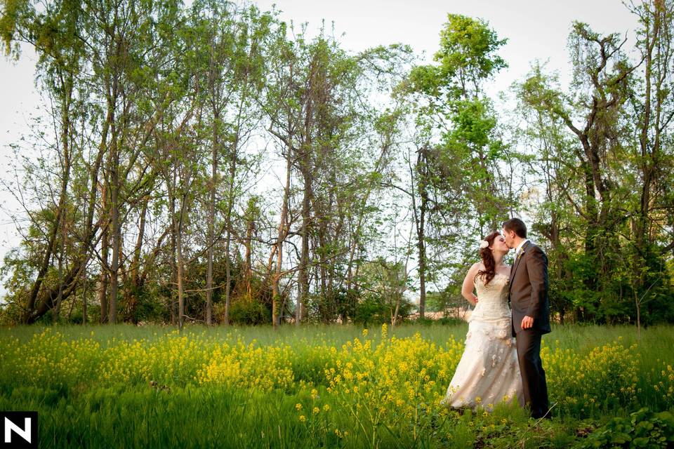 Nikki Weems Photography