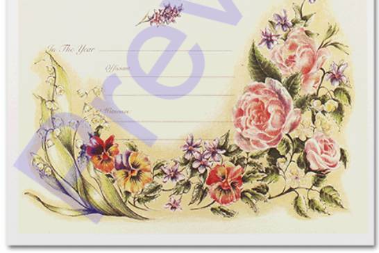 Example Wedding Certificate