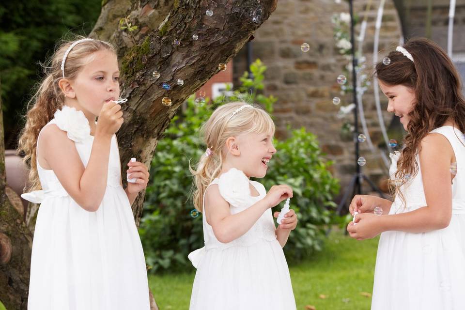 At the wedding fun
