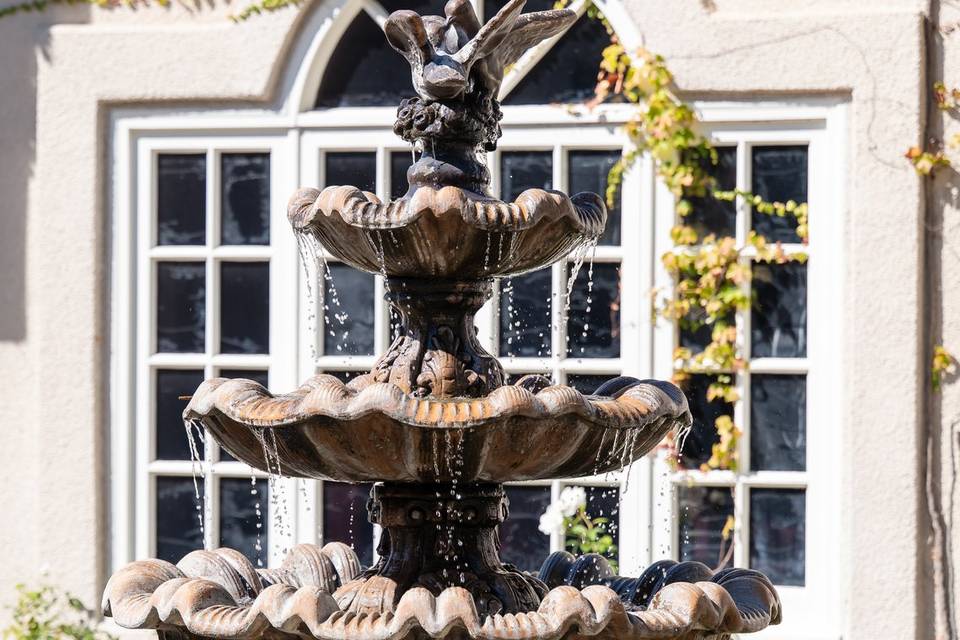 Dove Canyon Courtyard