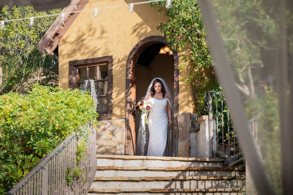 Dove Canyon Courtyard