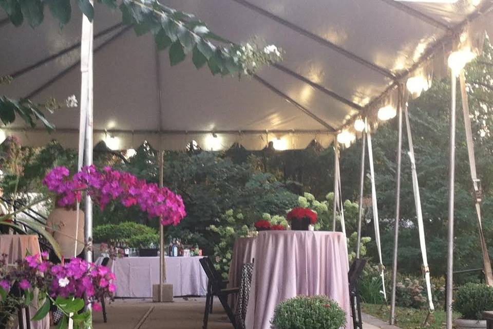 Reception tent and decor