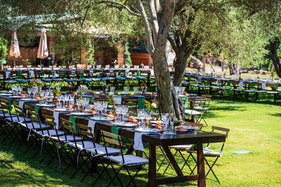 Evolution Luxury Events