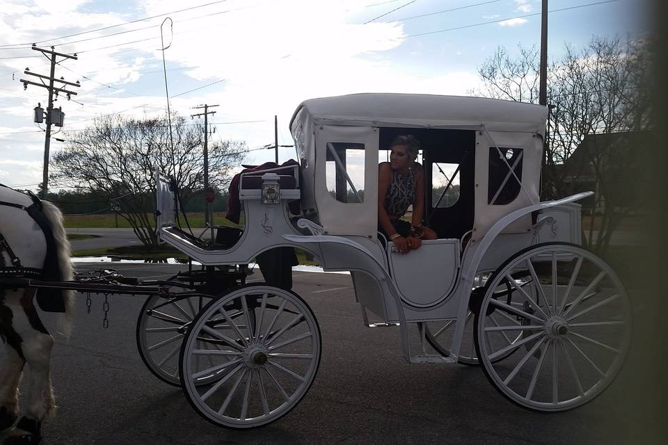 Chariots for Hire