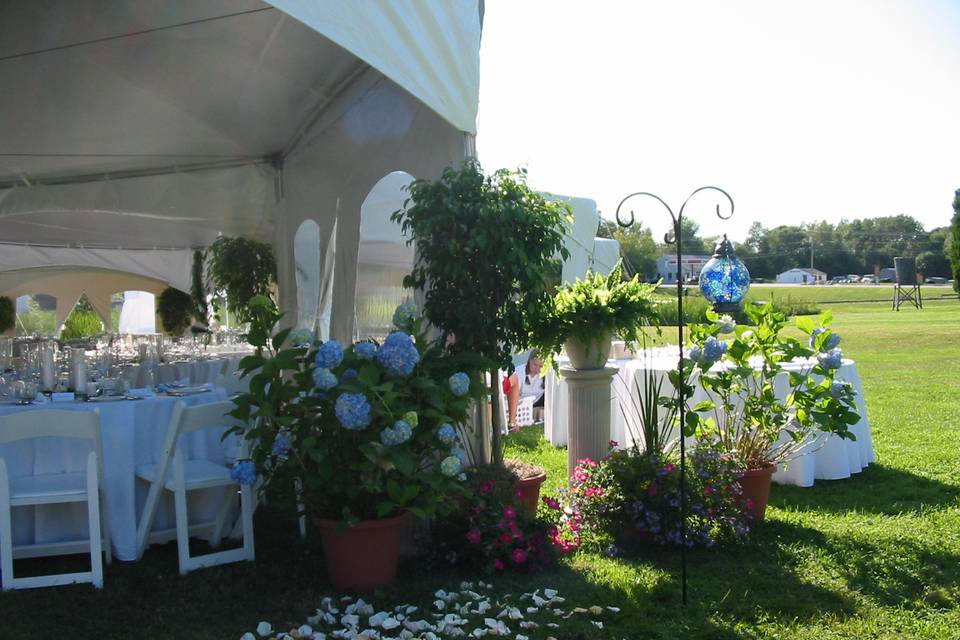 BOOTHBAY REGION GREENHOUSE