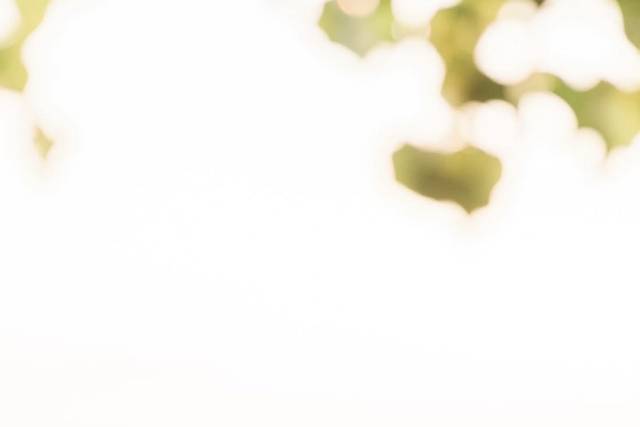 Sky Meadow Country Club Wedd